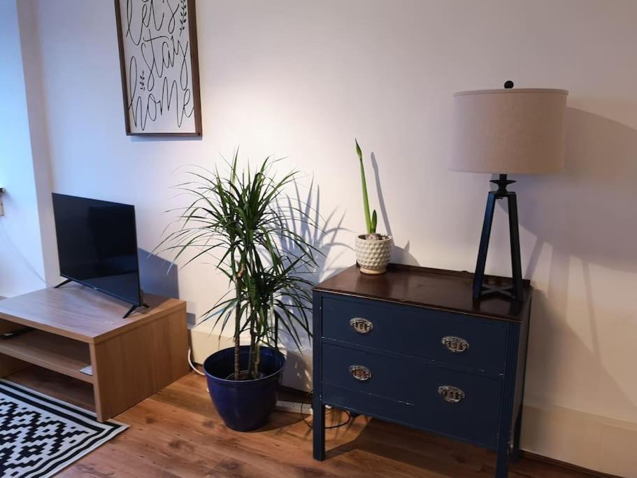 2 Bed Flat, Bounds Green, Piccadilly Line, London N11 Buitenkant foto